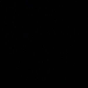 Meet your Posher, Bradley